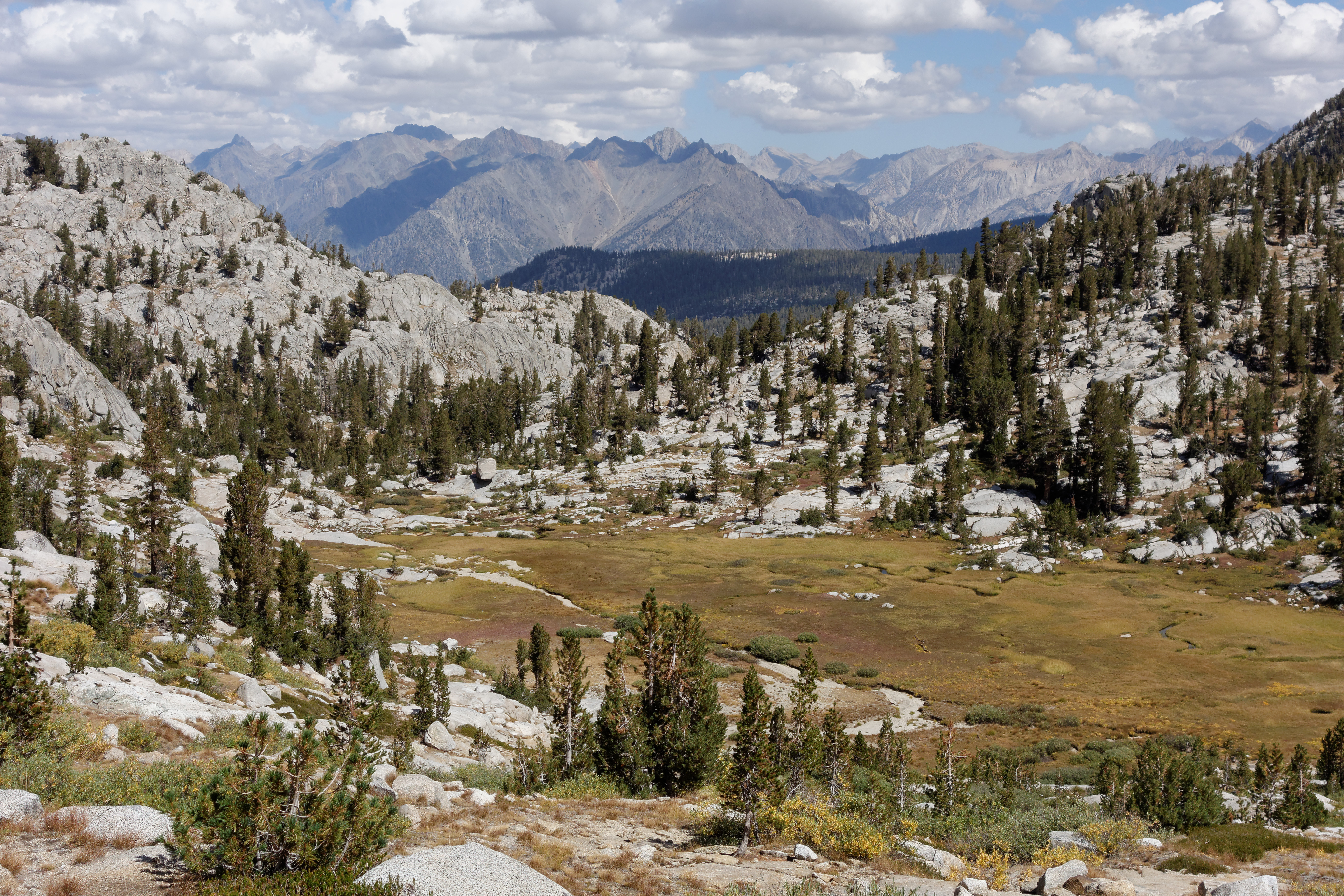 Kings Canyon Natl Park